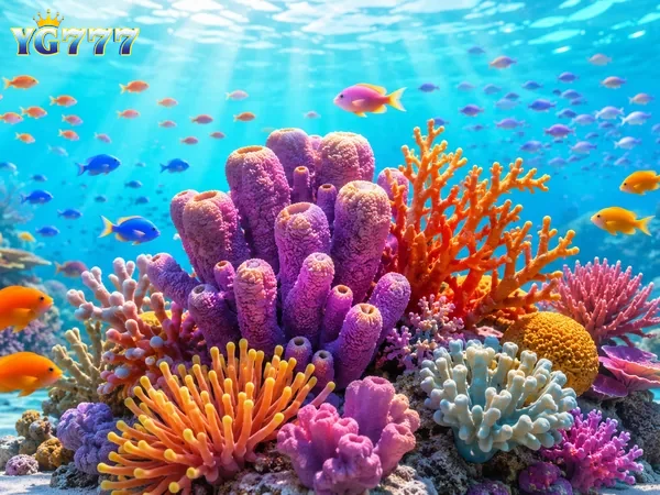 Mega Fishing Image 1